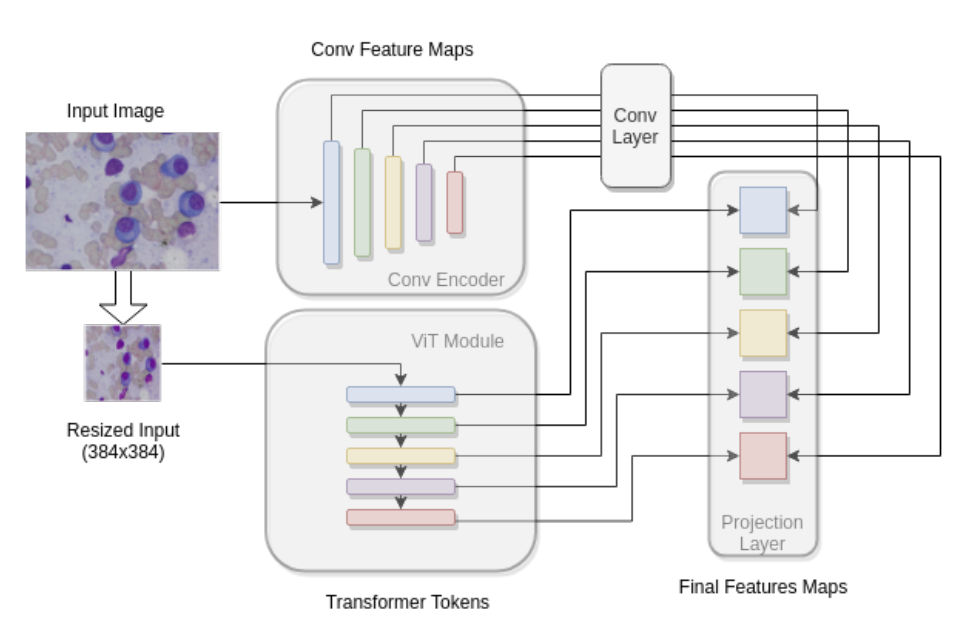 Transformer_assisted_CNN.png